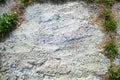 Texture of the earth with grass, cobblestones, stones.mountain landscape, steppe, forest-steppe