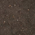 Earth texture with a small stone admixture Royalty Free Stock Photo