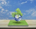 Earth with tree, Elements of this image furnished by NASA Royalty Free Stock Photo