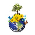 Earth with a tree and flowers over a white Royalty Free Stock Photo