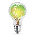 Earth tree light bulb isolated on white background Royalty Free Stock Photo