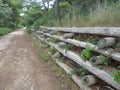 Earth wood terracing