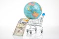 earth world globe in a grocery basket with dollars on a white background. the concept of the sale of land resources. worldwide