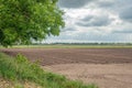 Earthed potato ridges on a Dutch field Royalty Free Stock Photo