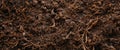 Earthen Texture with Rootlike Forms. A CloseUp, Abstract Study of Ground Composition. Royalty Free Stock Photo