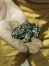 An earthen toad on a child's hand human hand in a glove holds an earthen toad Royalty Free Stock Photo