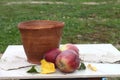 Earthen vessel and apples on a granite slab Royalty Free Stock Photo