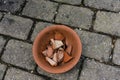 Earthenware flower pot with cracked pieces inside