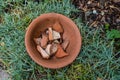 Earthenware flower pot with cracked pieces inside
