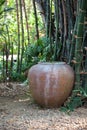 Earthenware jar Royalty Free Stock Photo