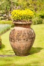 Earthenware jug with flowers Royalty Free Stock Photo