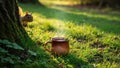 Morning Herbal Tea with Curious Squirrel in a Forest Glade Bathed in Sunlight Royalty Free Stock Photo