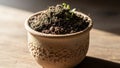Earthenware pot with textured design containing dark soil and Royalty Free Stock Photo