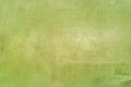 Earthly green painted canvas backdrop