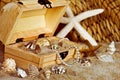 gold coins and seashells in wooden treasure chest Royalty Free Stock Photo