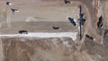 Earthmoving equipment. Aerial view of a large construction site with several earthmoving machines. Royalty Free Stock Photo