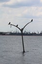 Golcuk - Turkey August 9,2018 . The street lamp sinking into the sea. Royalty Free Stock Photo