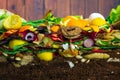 Earthwoms living in a colorful compost heap