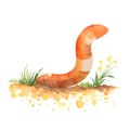Earthworm in cartoon style. Cute Little Cartoon Earthworm isolated on white background. Watercolor drawing, hand-drawn Earthworm