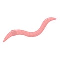 Earthworm cartoon style isolated on white background illustration. Royalty Free Stock Photo