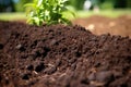 earthworm castings used as a soil amendment Royalty Free Stock Photo