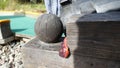 A earthworm climbs between a beam and a wooden ball Royalty Free Stock Photo