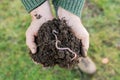 Earthworm on Heap of Soil on Hands Royalty Free Stock Photo