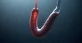 Earthworm on a Hook Underwater Royalty Free Stock Photo