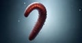 Earthworm on a Hook Underwater Royalty Free Stock Photo