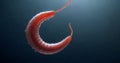 Earthworm on a Hook Underwater Royalty Free Stock Photo