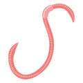 Earthworm illustration isolated on a white background