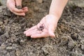 an earthworm in kid`s hands on spring in the garden. Royalty Free Stock Photo