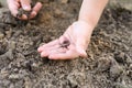 An earthworm in kid`s hands on spring in the garden. Royalty Free Stock Photo