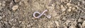an earthworm on the loosened soil spring in the garden. banner.