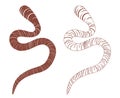 Earthworm or Lumbricina Vector Illustration Royalty Free Stock Photo