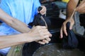 Earthworm manure fermented water in the farm, vermi-compost, vermiculture