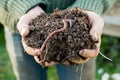 Earthworm on Mound of Dirt on Hands Royalty Free Stock Photo