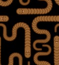 Earthworm pattern seamless. Earth Worm background. Vector illustration Royalty Free Stock Photo