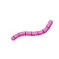 Earthworm. Pink worm. Underground insect. Fishing bait