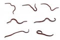Earthworm is a tube-shaped set isolate on white background Royalty Free Stock Photo