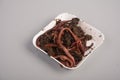 Earthworms for organic farming and agriculture dew worms