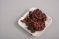 Earthworms for organic farming and agriculture dew worms