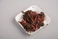 Earthworms for organic farming and agriculture  dew worms Royalty Free Stock Photo