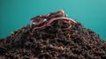 Earthworms on rich soil mound, vibrant background Royalty Free Stock Photo