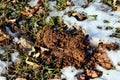 Earthworms soil mountain Royalty Free Stock Photo