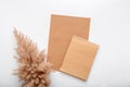 Earthy beige color blank craft paper card note invitation mockup with dry bloom Reed pampas branch. Brown Mockup