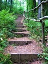 Shadows and light on the mysterious forest path with stairs and green young beech leaves