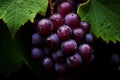 Earthy Red wine grapes. Generate Ai Royalty Free Stock Photo
