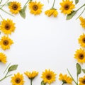 Earthy sunflower border Royalty Free Stock Photo