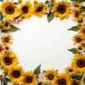 Earthy sunflower border Royalty Free Stock Photo